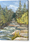 Boulder Creek Flowing Through Forest - Canvas Print