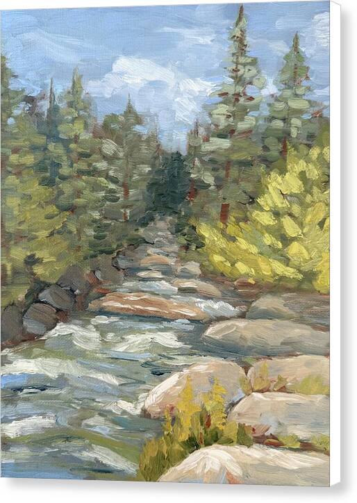 Boulder Creek Flowing Through Forest - Canvas Print