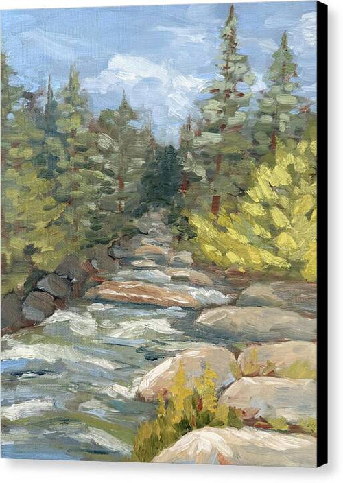Boulder Creek Flowing Through Forest - Canvas Print
