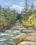 Boulder Creek Flowing Through Forest - Art Print